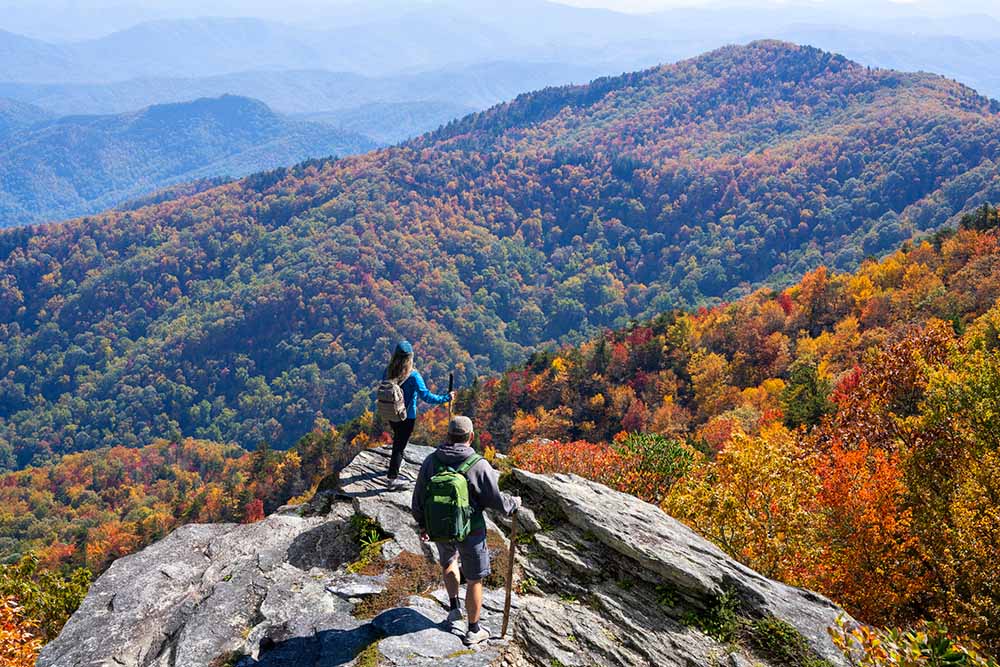Your Complete Guide to Semaglutide and Tirzepatide for Weight Loss in Asheville, NC